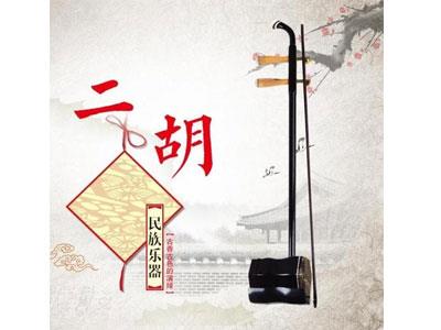 招聘百色二胡家教老师